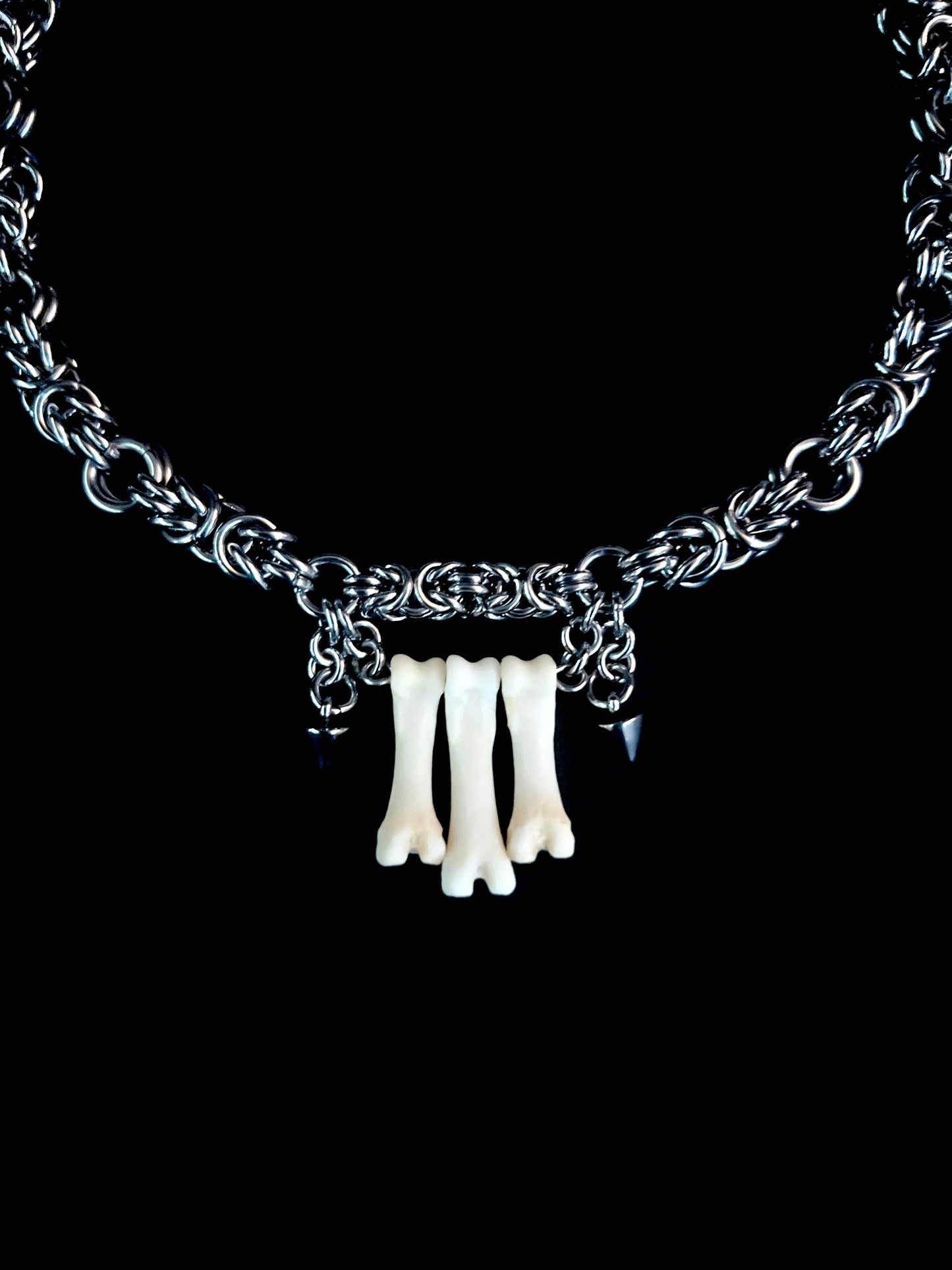 Coyote Bone Necklace